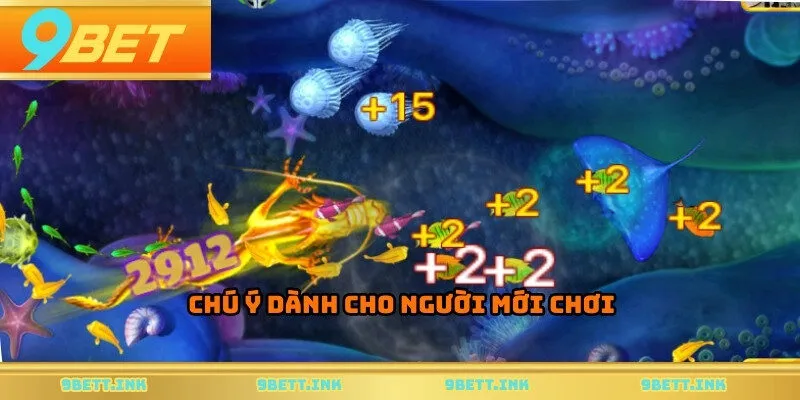 Chú ý dành cho người mới chơi