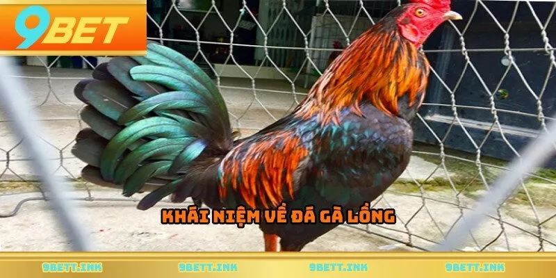 Khái niệm về đá gà lồng